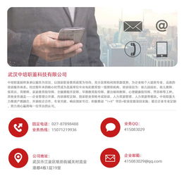 河南幼師資格證報考指南，兼談職業技能培訓與計算機行業